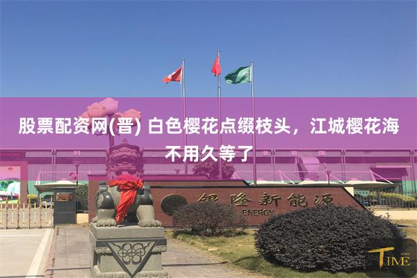 股票配资网(晋) 白色樱花点缀枝头，江城樱花海不用久等了