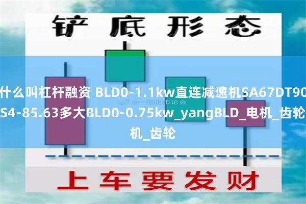 什么叫杠杆融资 BLD0-1.1kw直连减速机SA67DT90S4-85.63多大BLD0-0.75kw_yangBLD_电机_齿轮