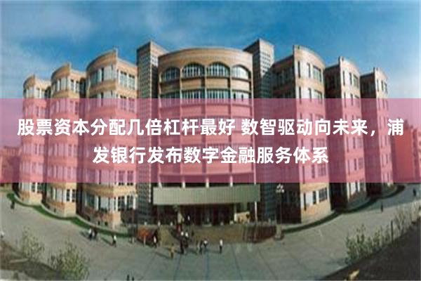 股票资本分配几倍杠杆最好 数智驱动向未来，浦发银行发布数字金融服务体系
