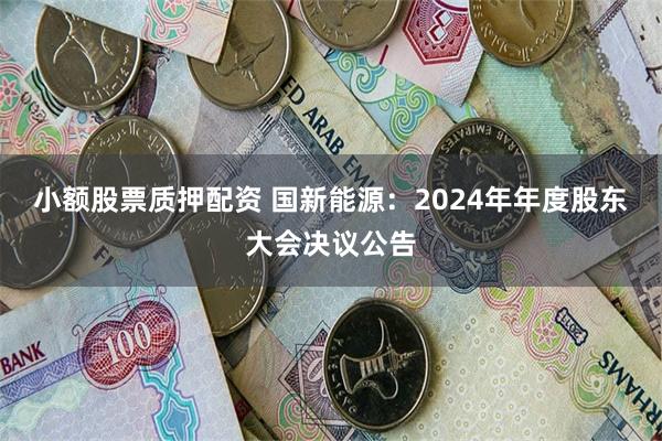 小额股票质押配资 国新能源：2024年年度股东大会决议公告