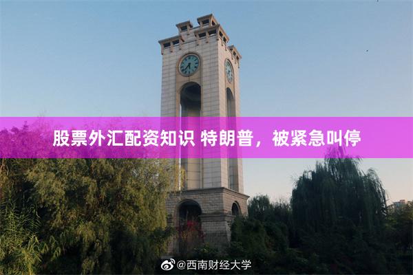 股票外汇配资知识 特朗普，被紧急叫停