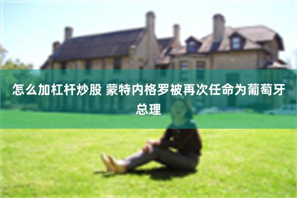 怎么加杠杆炒股 蒙特内格罗被再次任命为葡萄牙总理