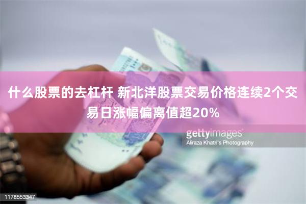 什么股票的去杠杆 新北洋股票交易价格连续2个交易日涨幅偏离值超20%