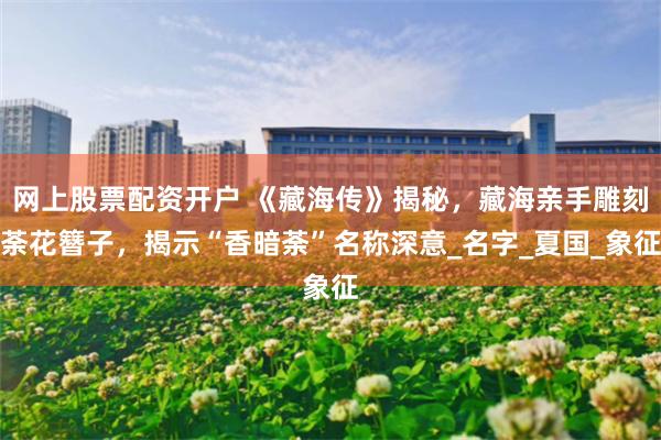 网上股票配资开户 《藏海传》揭秘，藏海亲手雕刻荼花簪子，揭示“香暗荼”名称深意_名字_夏国_象征