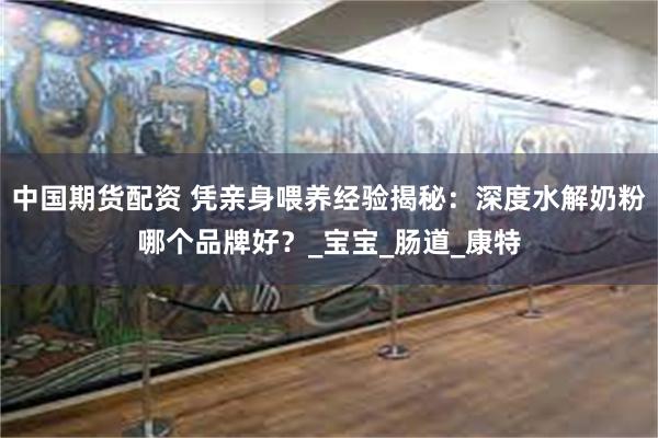 中国期货配资 凭亲身喂养经验揭秘：深度水解奶粉哪个品牌好？_宝宝_肠道_康特